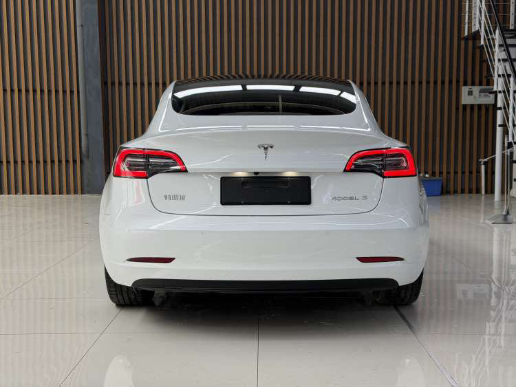 Tesla Model 3 2020 car image #5