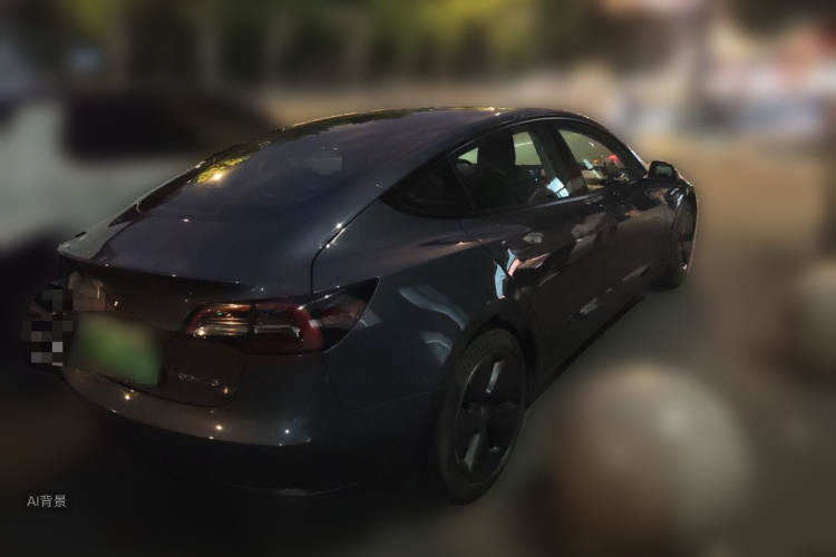 Tesla Model 3 2021 car image #7