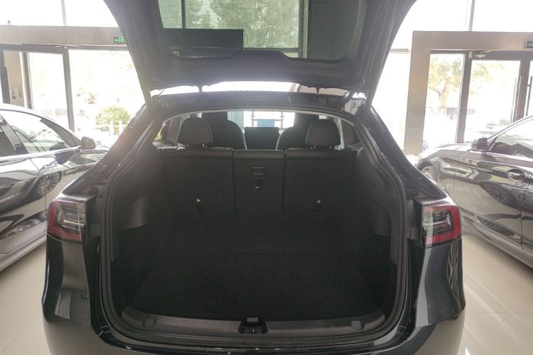 Tesla Model Y 2024 #19 Tesla Model Y 2024 car image #19