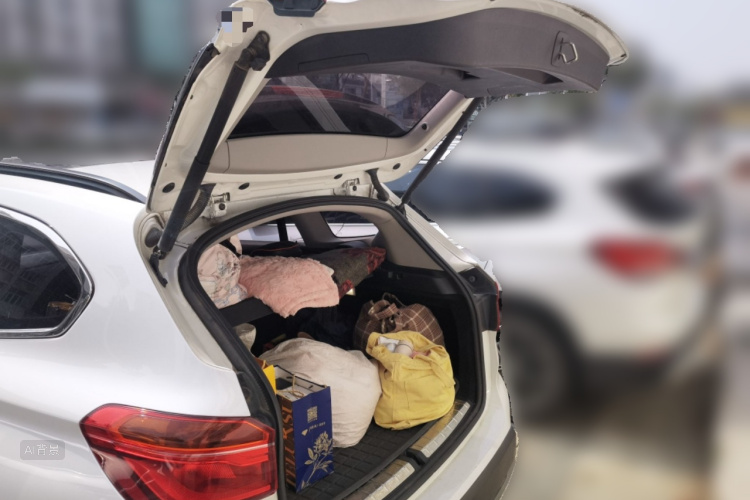 BMW X1 2017 #21 BMW X1 2017 immagine di auto #21