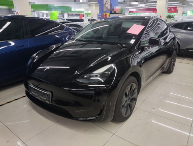Tesla Model Y 2023 car image 