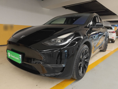 Tesla Model Y 2021 Tesla Model Y 2021 car image