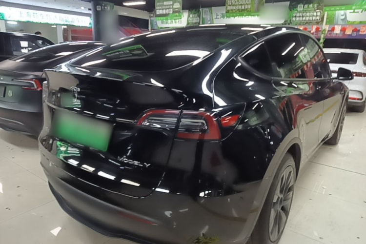 Tesla Model Y 2023 #7 Tesla Model Y 2023 car image #7