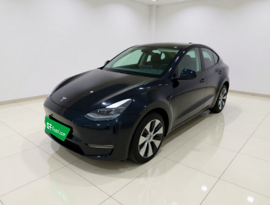 Tesla Model Y 2021 Tesla Model Y 2021 car image