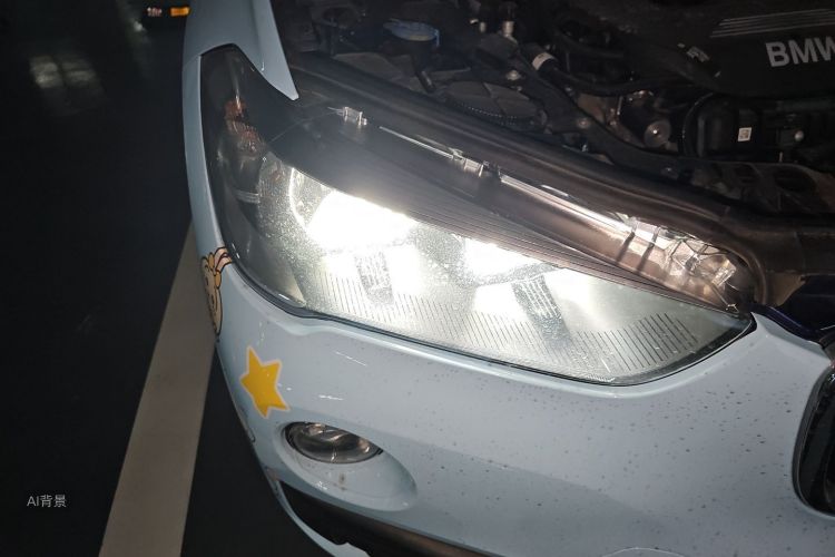 BMW X1 2019 car image #8
