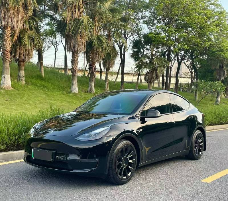 Tesla Model Y 2021 Tesla Model Y 2021 car image