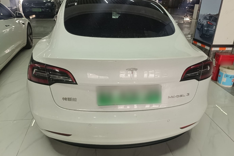 Tesla Model 3 2021 car image #6
