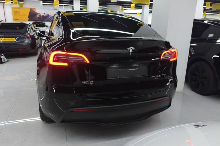 Tesla Model Y 2024 #6 Tesla Model Y 2024 car image #6
