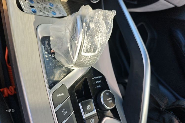 GEELY Coolray 2021 imagen de coche #16