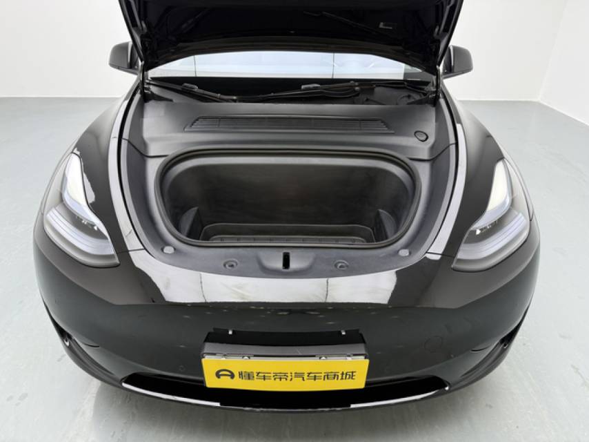 Tesla Model Y 2024 car image #10