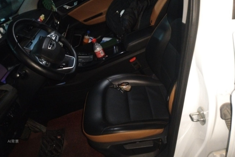 GEELY Emgrand GL 2020 immagine di auto #17