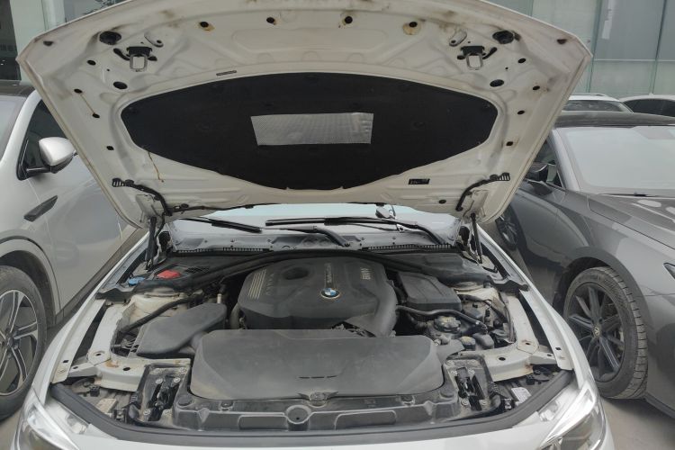 BMW 3 Series 2017 car image #20