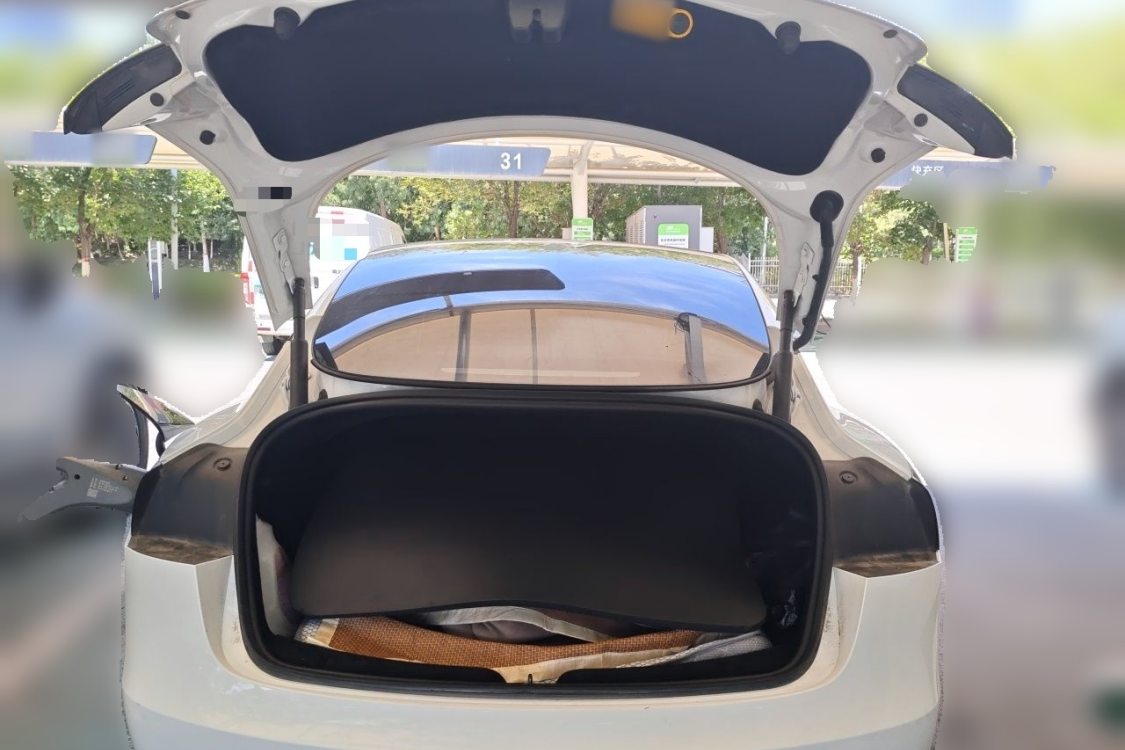 Tesla Model 3 2024 #8 Tesla Model 3 2024 car image #8