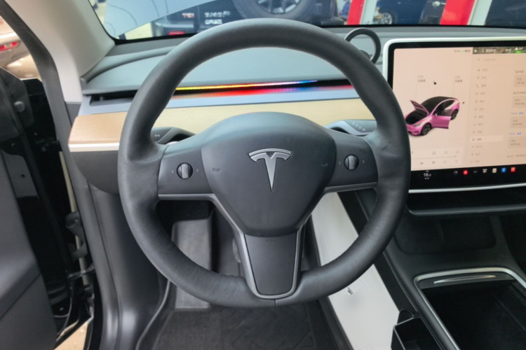 Tesla Model Y 2021 car image #11