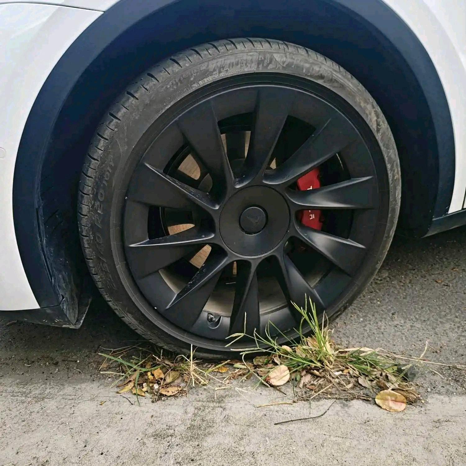 Tesla Model Y 2023 #7 Tesla Model Y 2023 car image #7