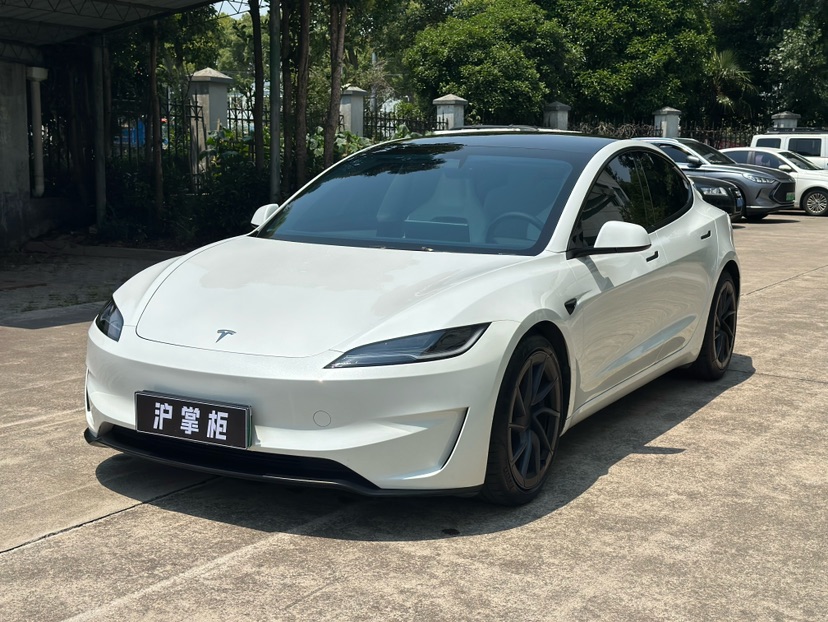 Tesla Model 3 2024 Tesla Model 3 2024 car image