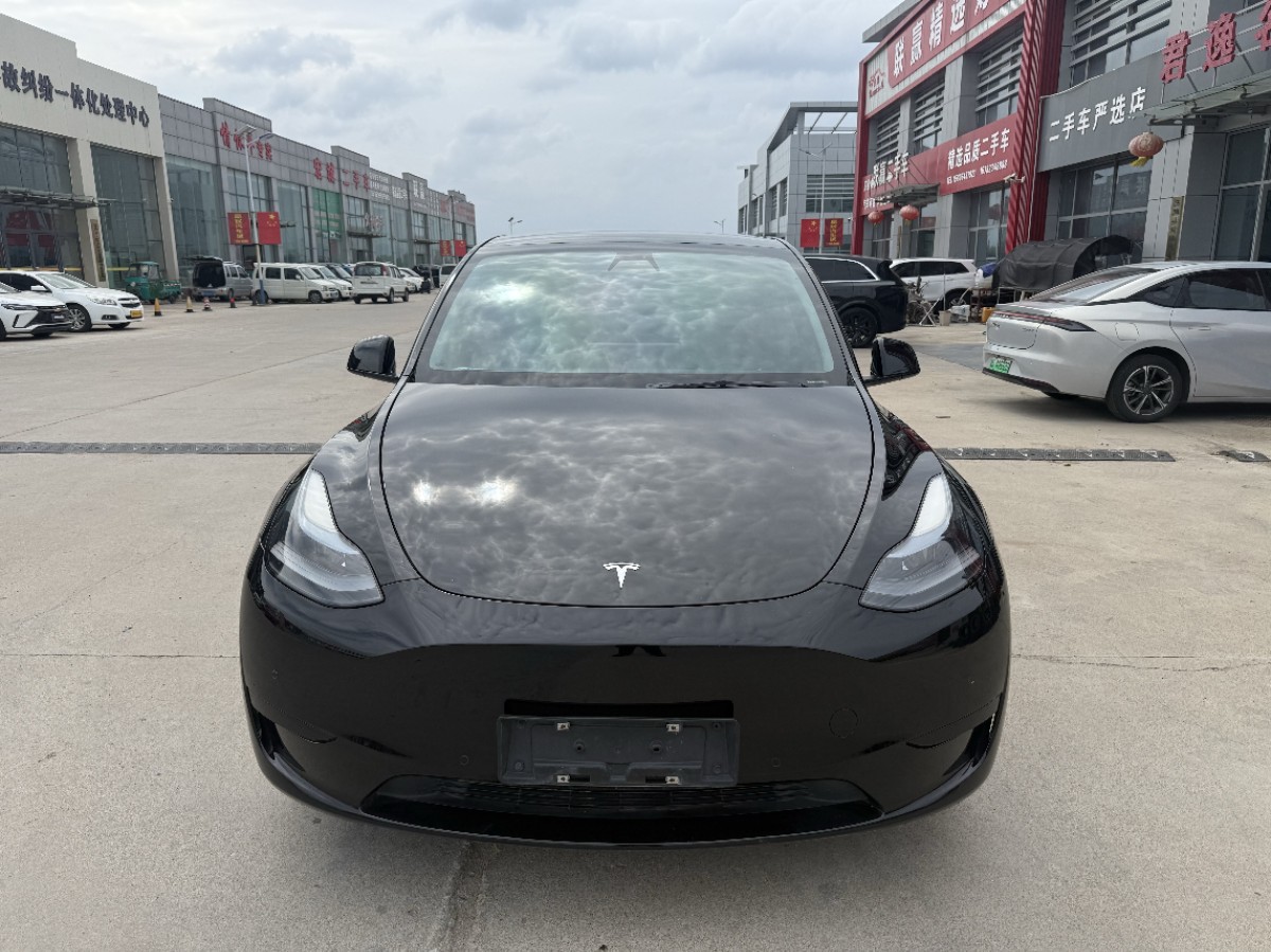 Tesla Model Y 2022 #3 Tesla Model Y 2022 car image #3
