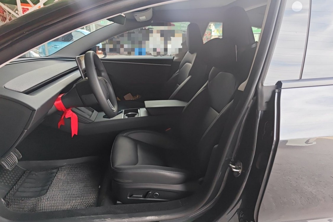 Tesla Model 3 2024 immagine di auto #18