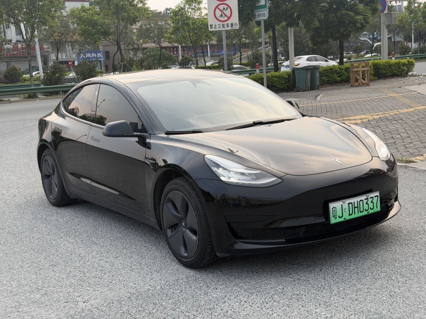 Tesla Model 3 2020 #2 Tesla Model 3 2020 car image #2