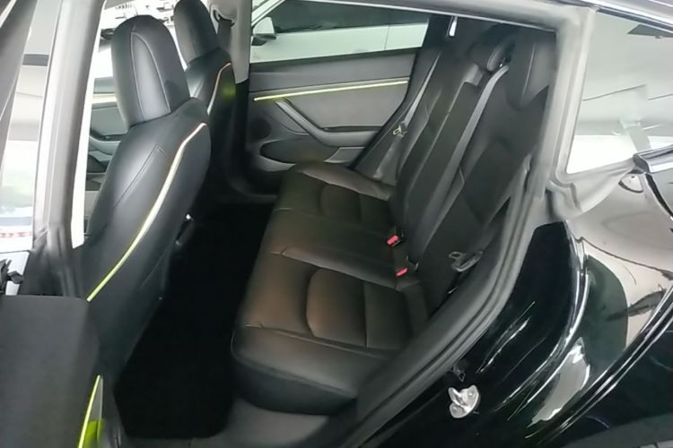 Tesla Model 3 2021 car image #17