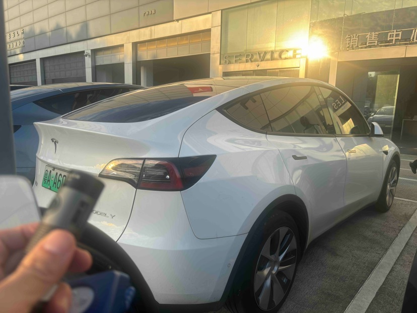 Tesla Model Y 2021 car image #2