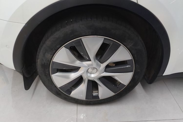 Tesla Model Y 2023 #10 Tesla Model Y 2023 car image #10