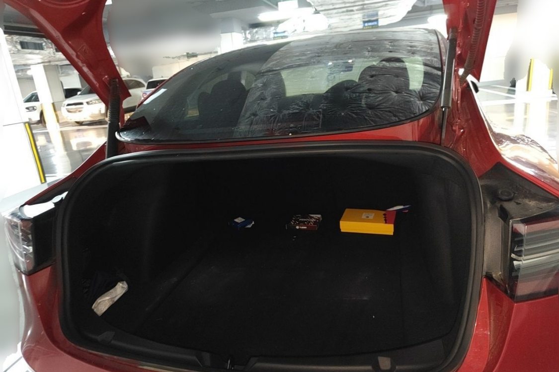 Tesla Model 3 2021 #8 Tesla Model 3 2021 car image #8
