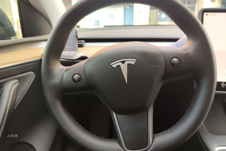 Tesla Model Y 2023 #12 Tesla Model Y 2023 car image #12
