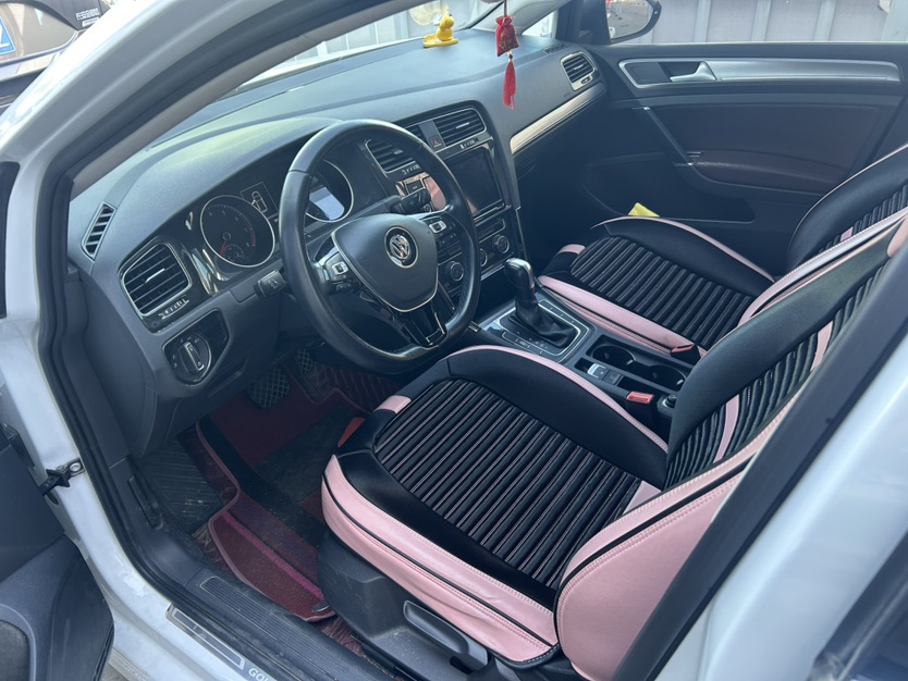 Volkswagen Golf 2019 #2 Volkswagen Golf 2019 car image #2