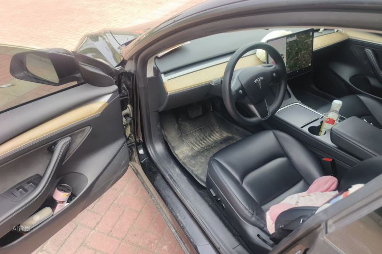 Tesla Model 3 2021 car image #18