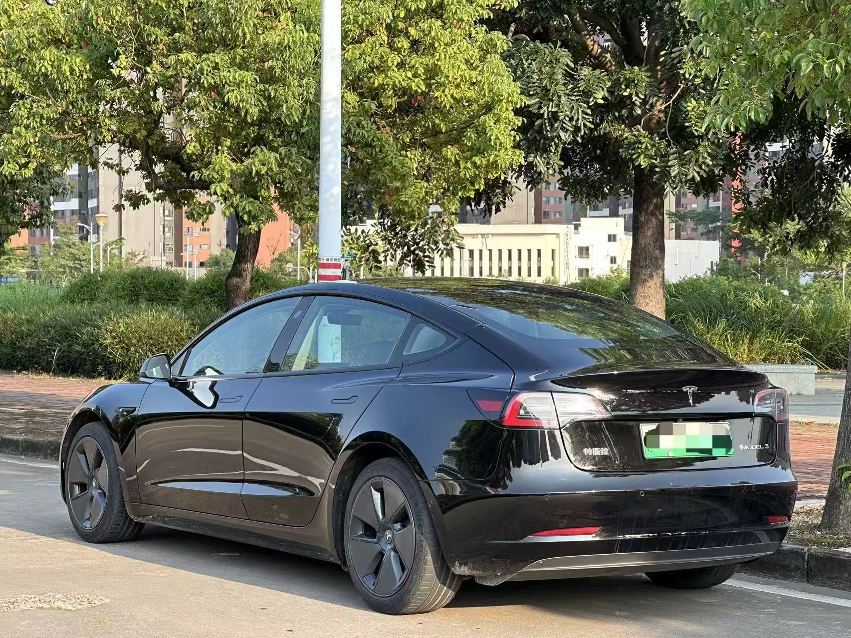 Tesla Model 3 2021 #8 Tesla Model 3 2021 car image #8