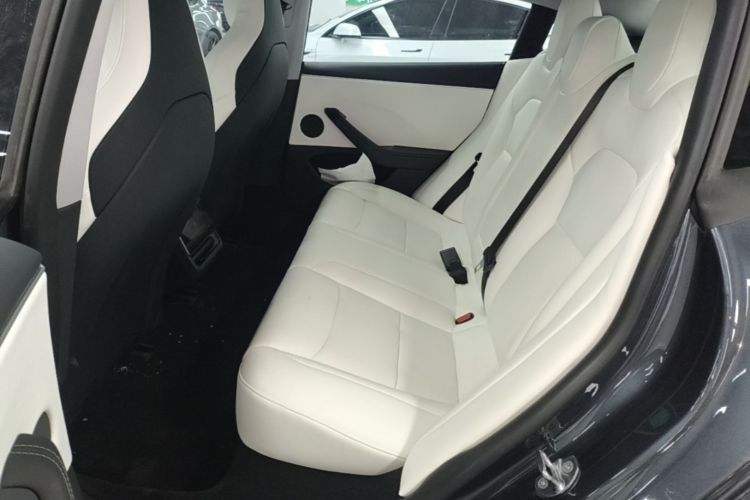 Tesla Model 3 2024 car image #17