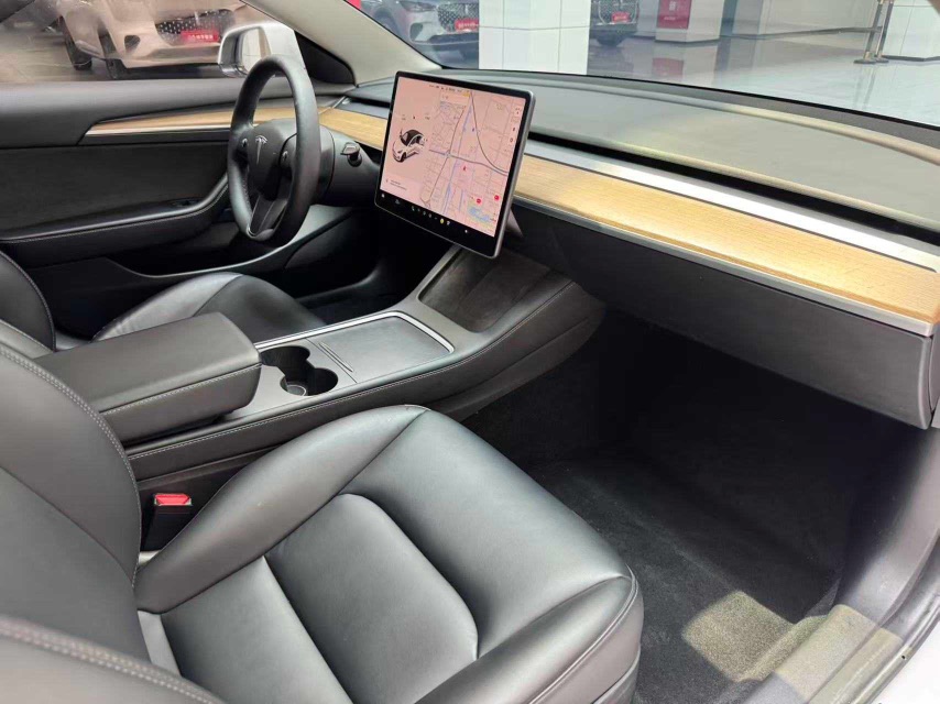 Tesla Model 3 2022 car image #19
