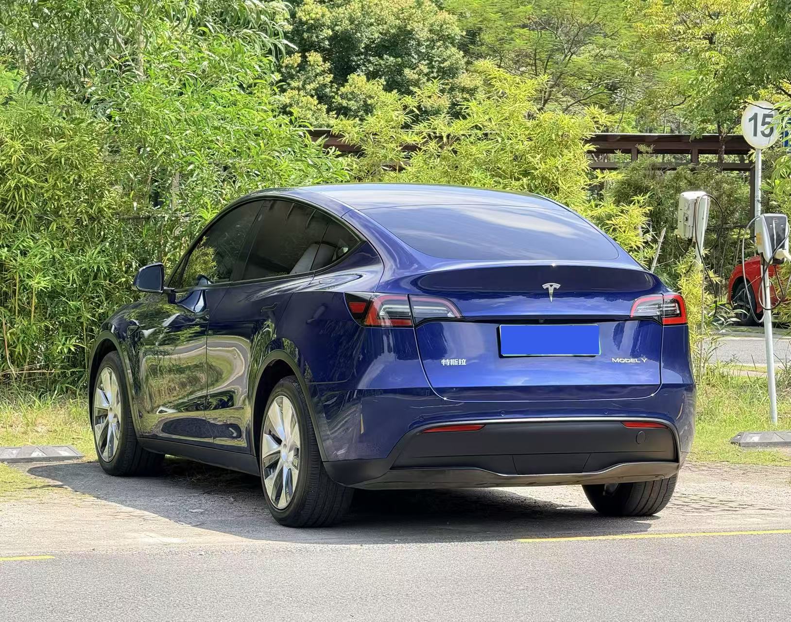 Tesla Model Y 2021 car image #10