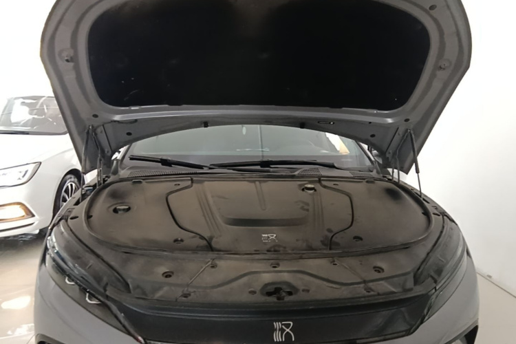 BYD Han 2024 car image #20