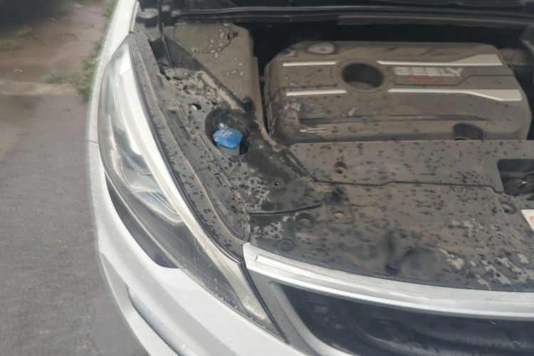 GEELY Emgrand GS 2019 #24 GEELY Emgrand GS 2019 car image #24