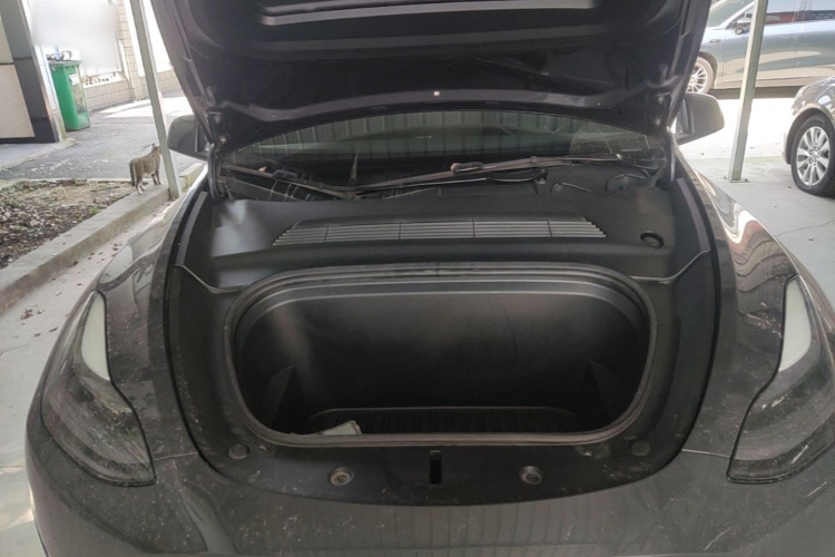 Tesla Model Y 2021 #20 Tesla Model Y 2021 car image #20