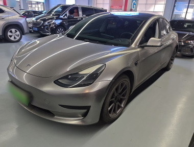 Tesla Model 3 2022 car image 