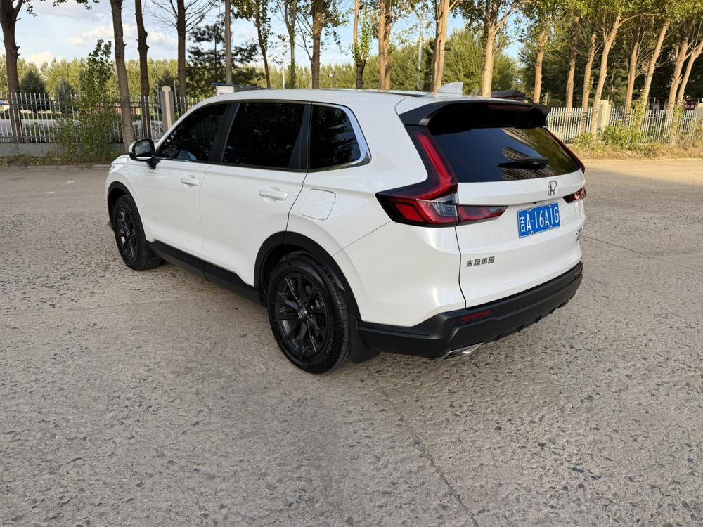 Honda CR-V 2025 #5 Honda CR-V 2025 car image #5