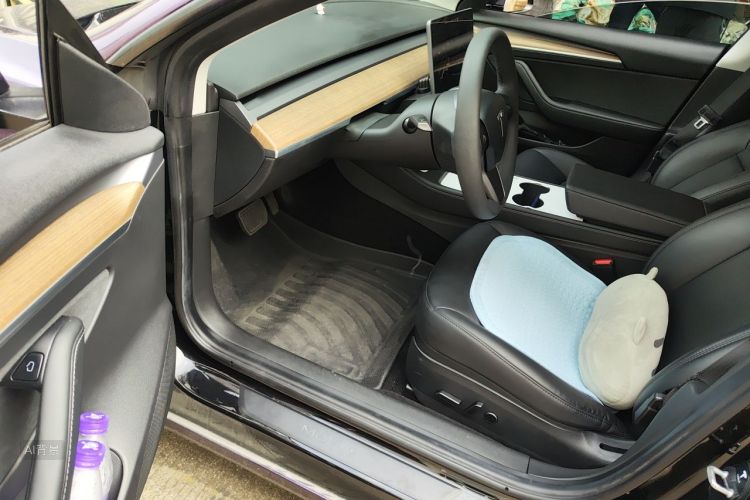 Tesla Model 3 2021 car image #18