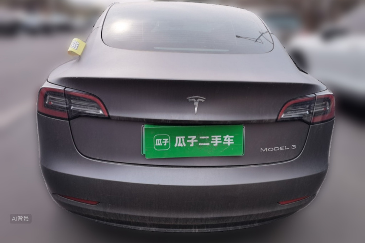 Tesla Model 3 2021 car image #6