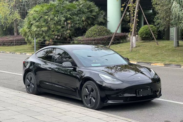 Tesla Model 3 2021 #6 Tesla Model 3 2021 изображение автомобиля #6