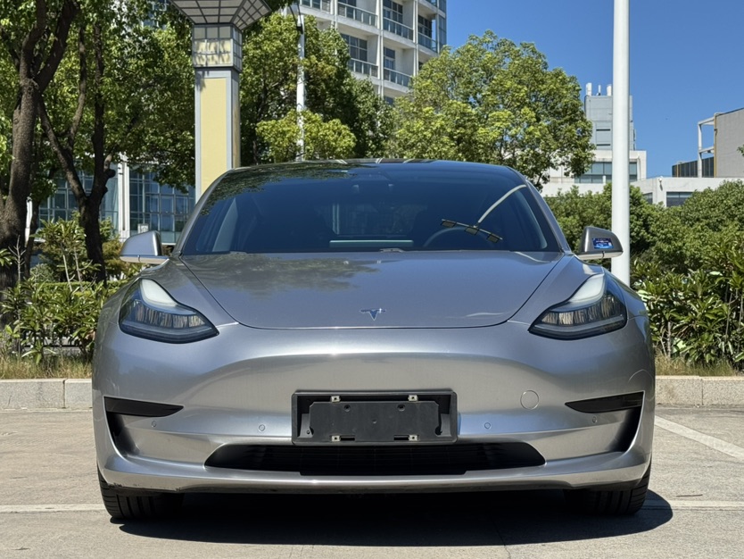 Tesla Model 3 2020 Tesla Model 3 2020 car image