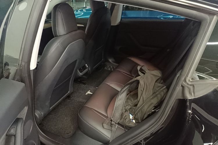 Tesla Model 3 2023 car image #17