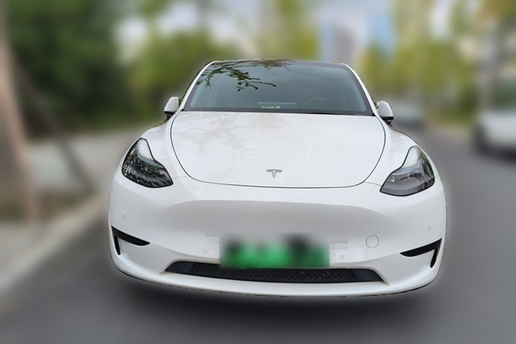 Tesla Model Y 2022 #3 Tesla Model Y 2022 car image #3