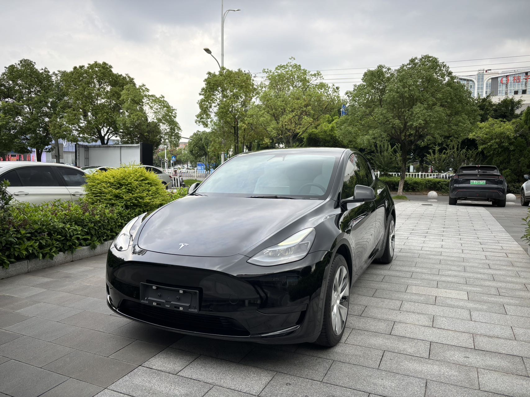Tesla Model Y 2023 car image 