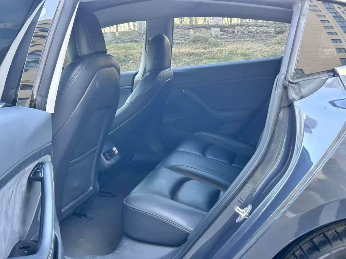 Tesla Model 3 2020 car image #7
