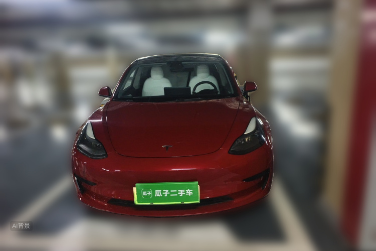 Tesla Model 3 2021 #3 Tesla Model 3 2021 car image #3