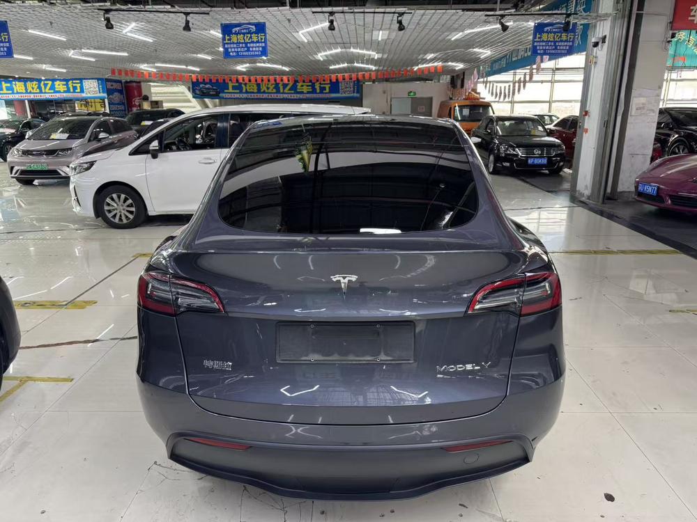 Tesla Model Y 2021 car image #5