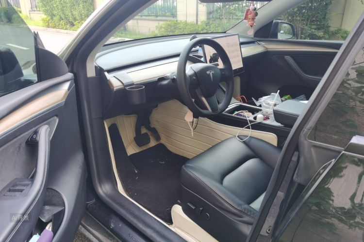 Tesla Model Y 2021 car image #18